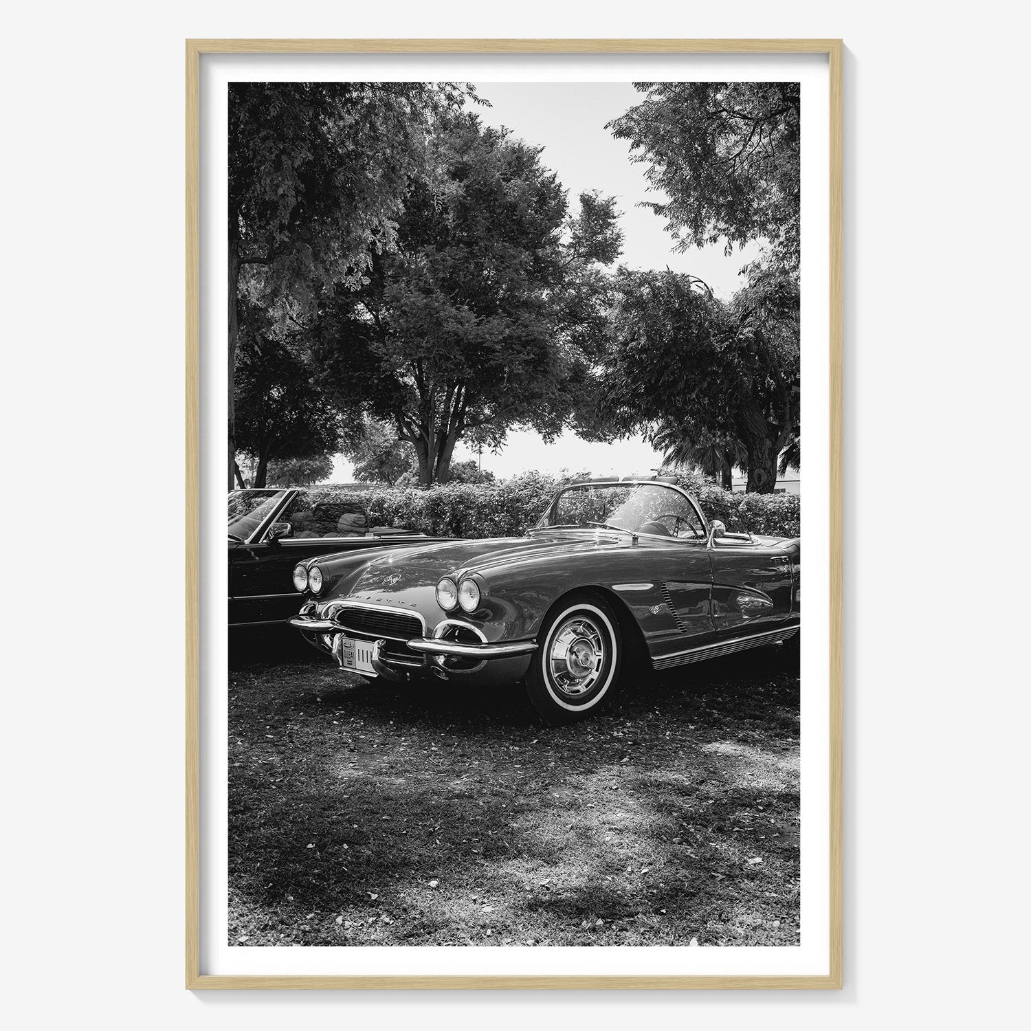 SILVER DRIVE CORVETTE