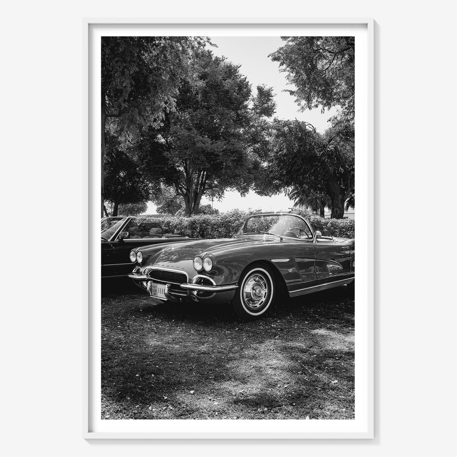 SILVER DRIVE CORVETTE