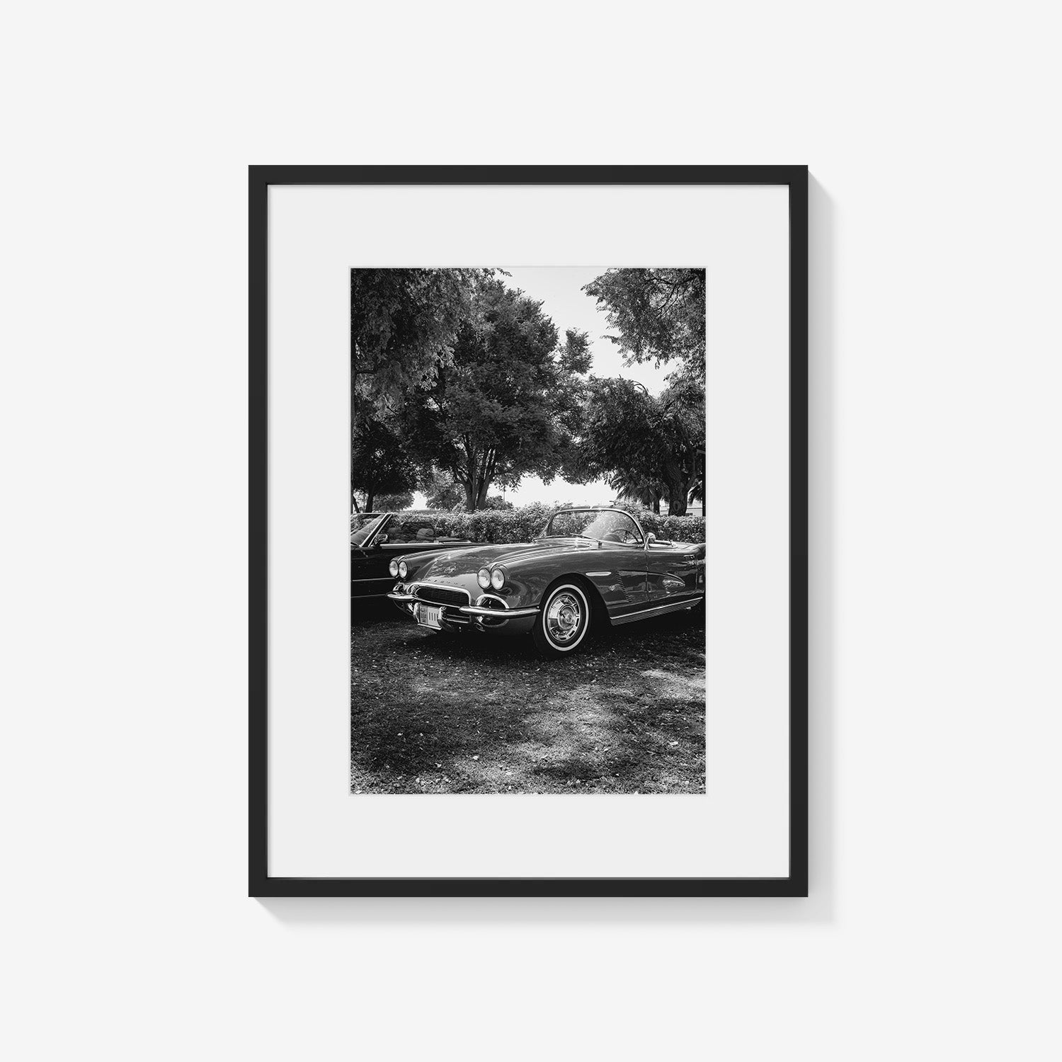 SILVER DRIVE CORVETTE