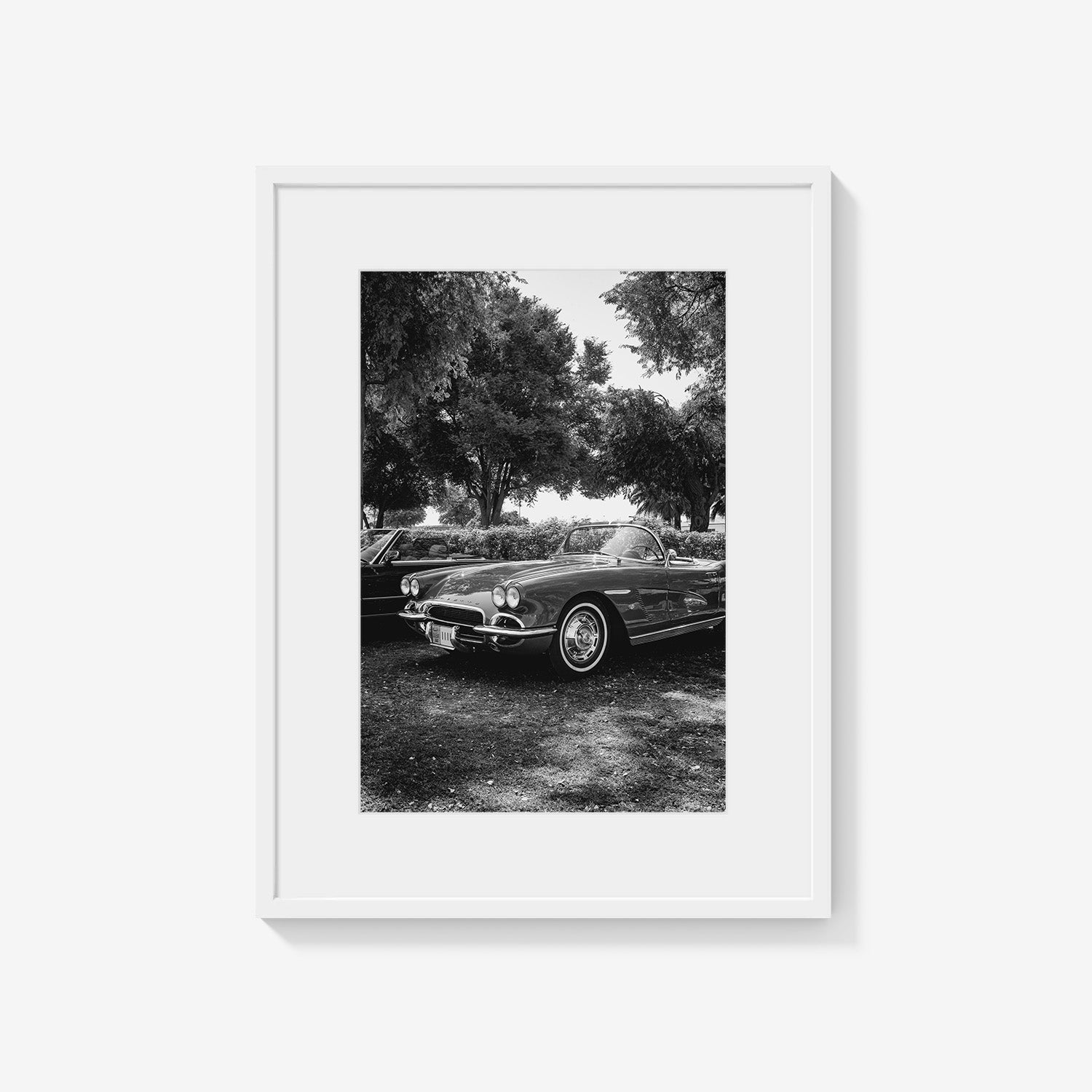 SILVER DRIVE CORVETTE