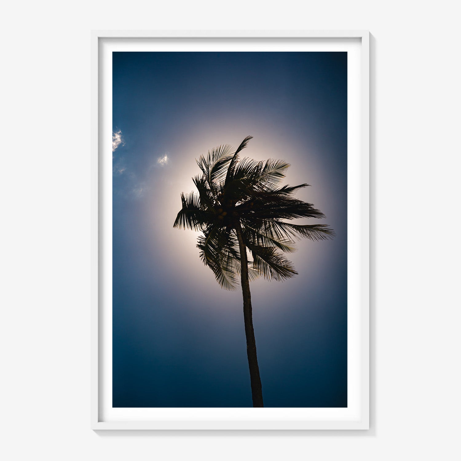 TO THE LIGHT