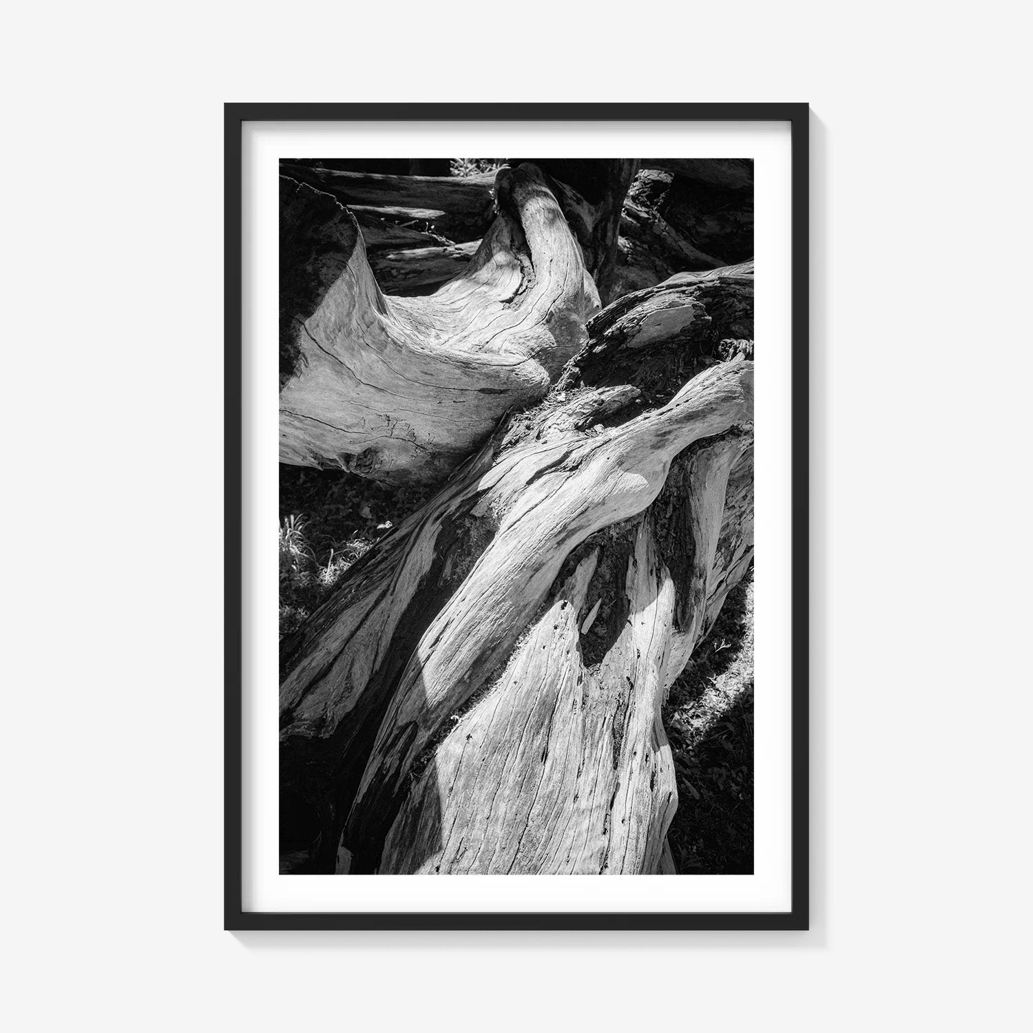 WOOD FORMS