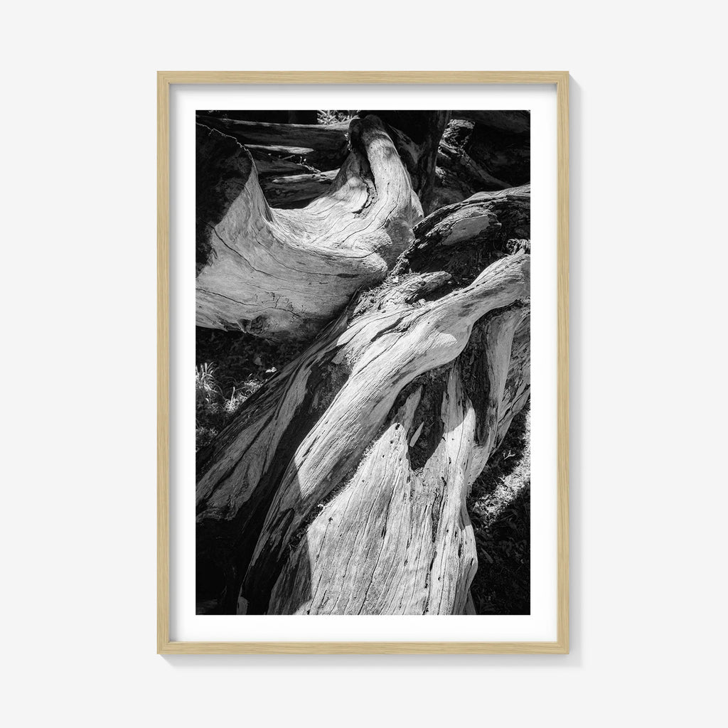 WOOD FORMS