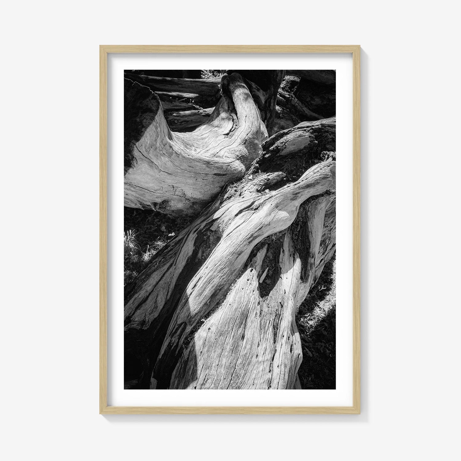 WOOD FORMS