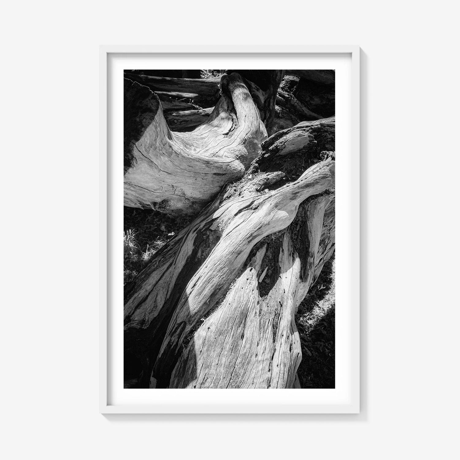 WOOD FORMS