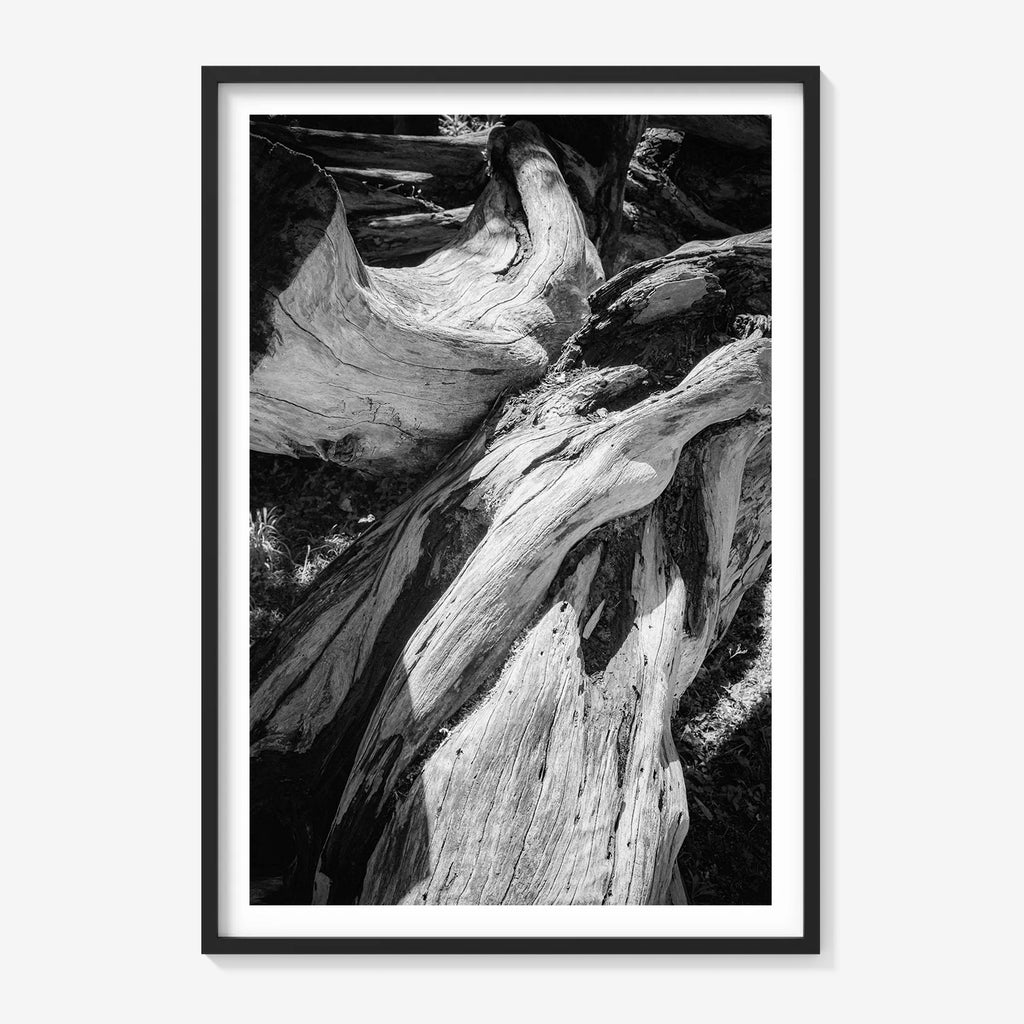 WOOD FORMS