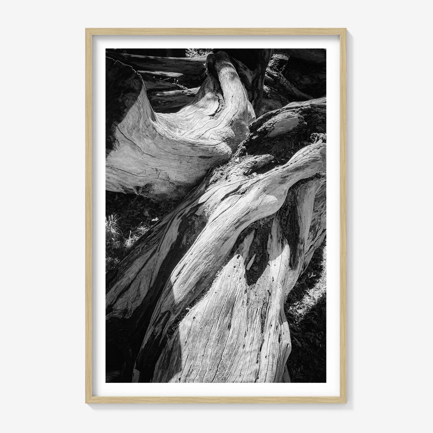 WOOD FORMS
