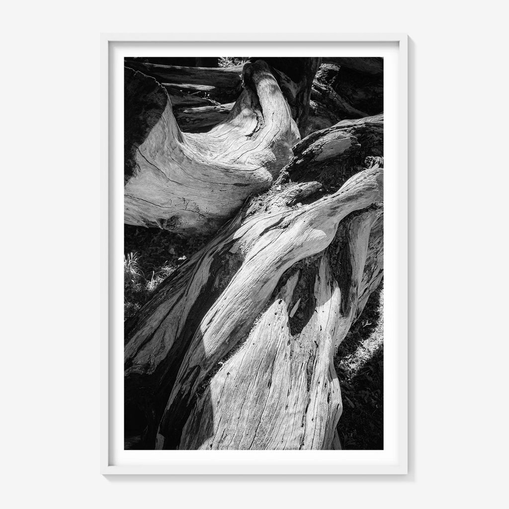 WOOD FORMS