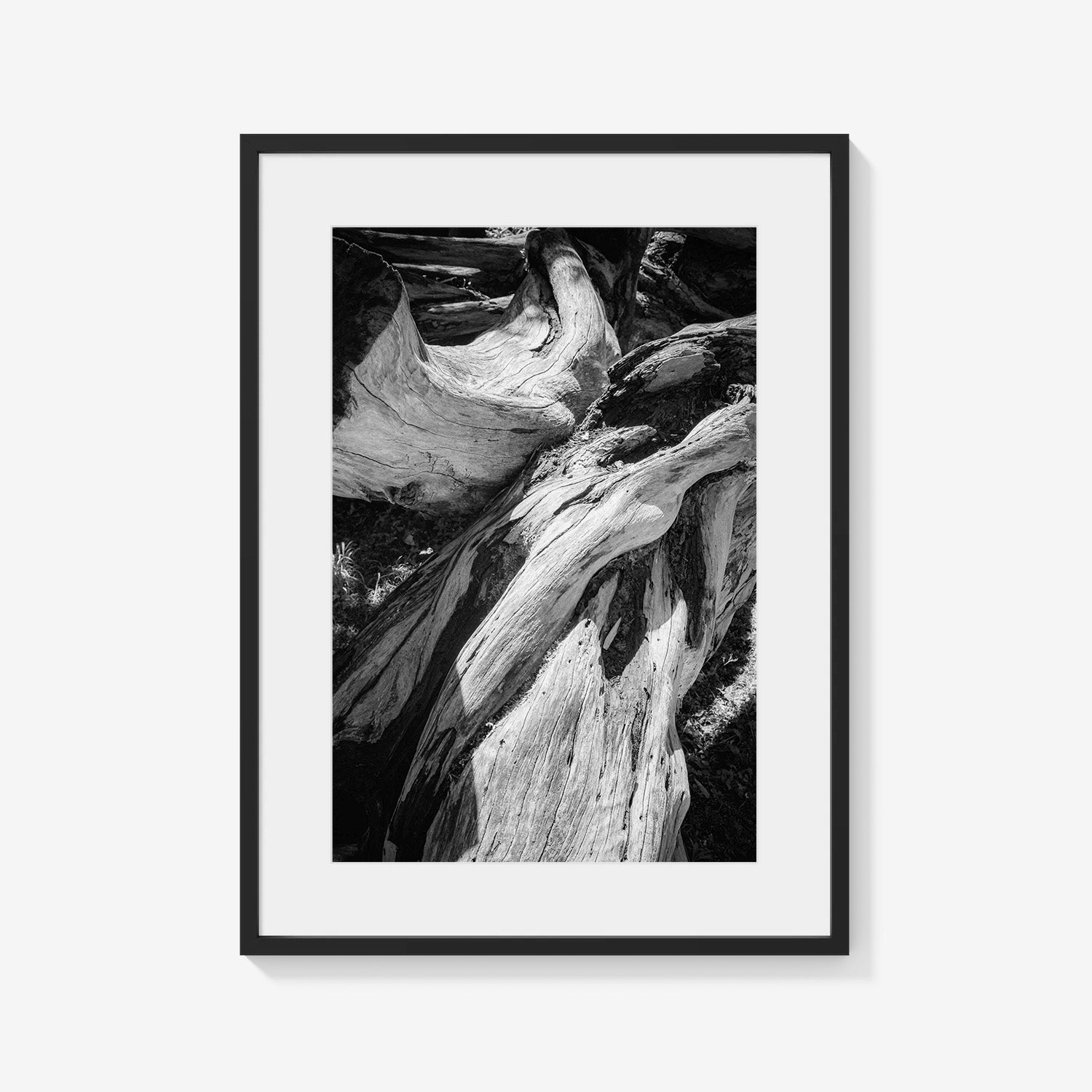 WOOD FORMS