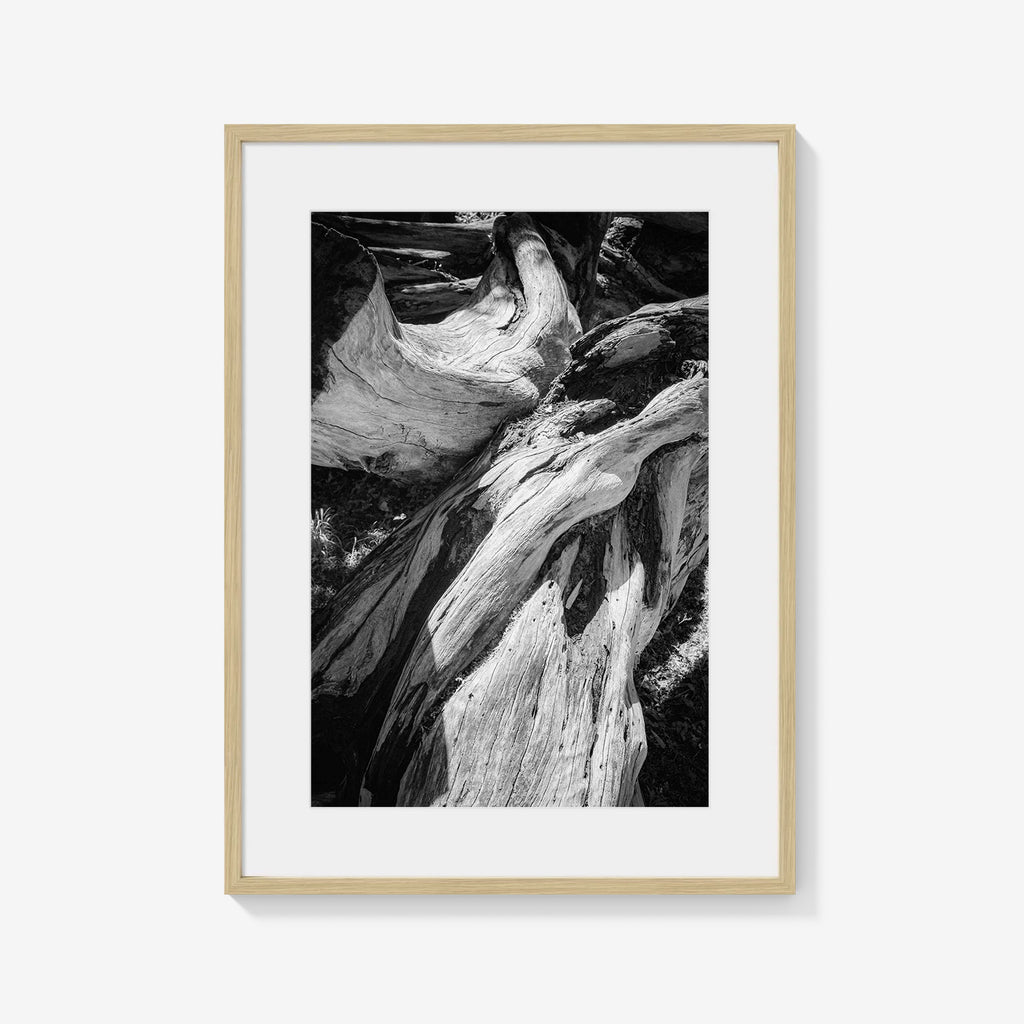 WOOD FORMS