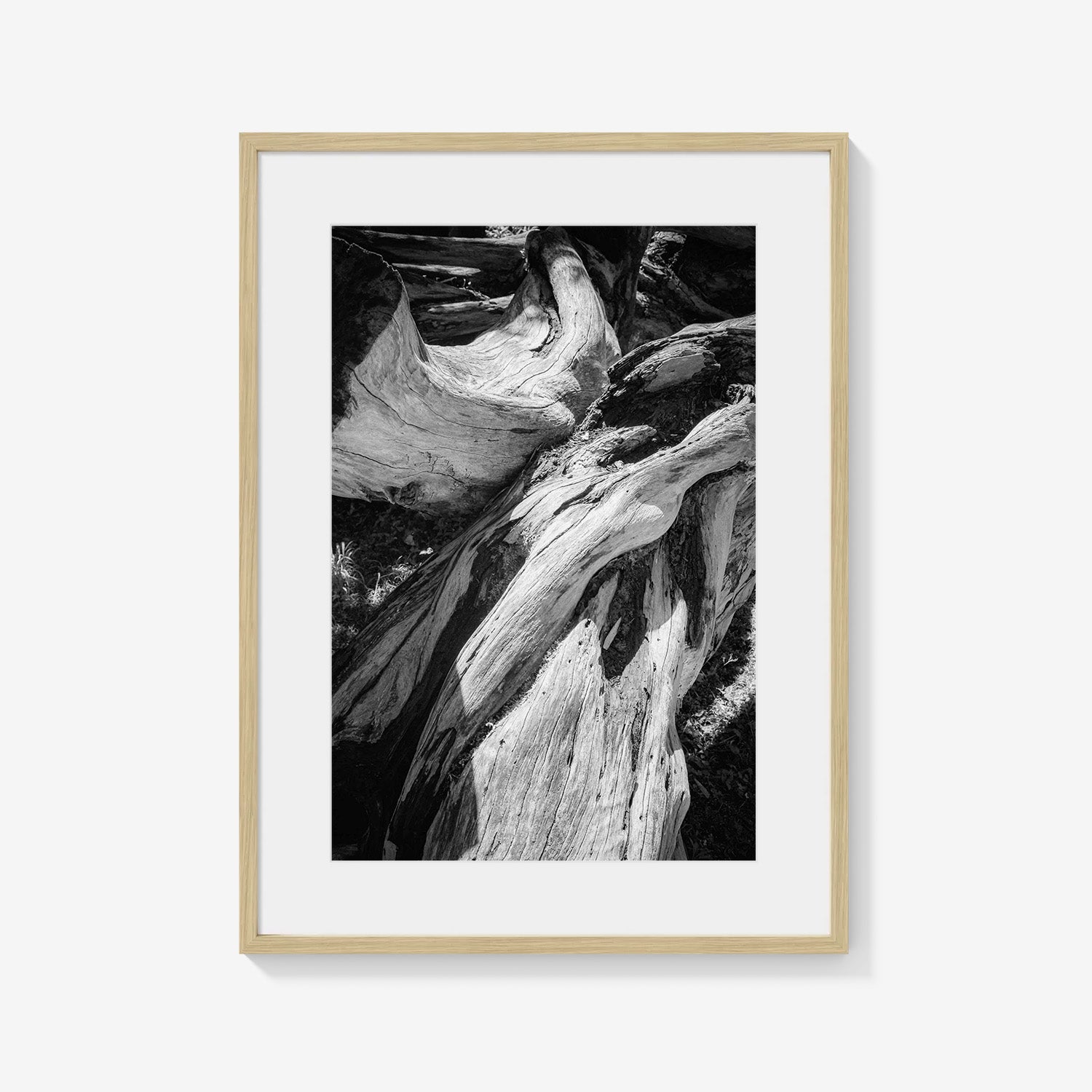 WOOD FORMS