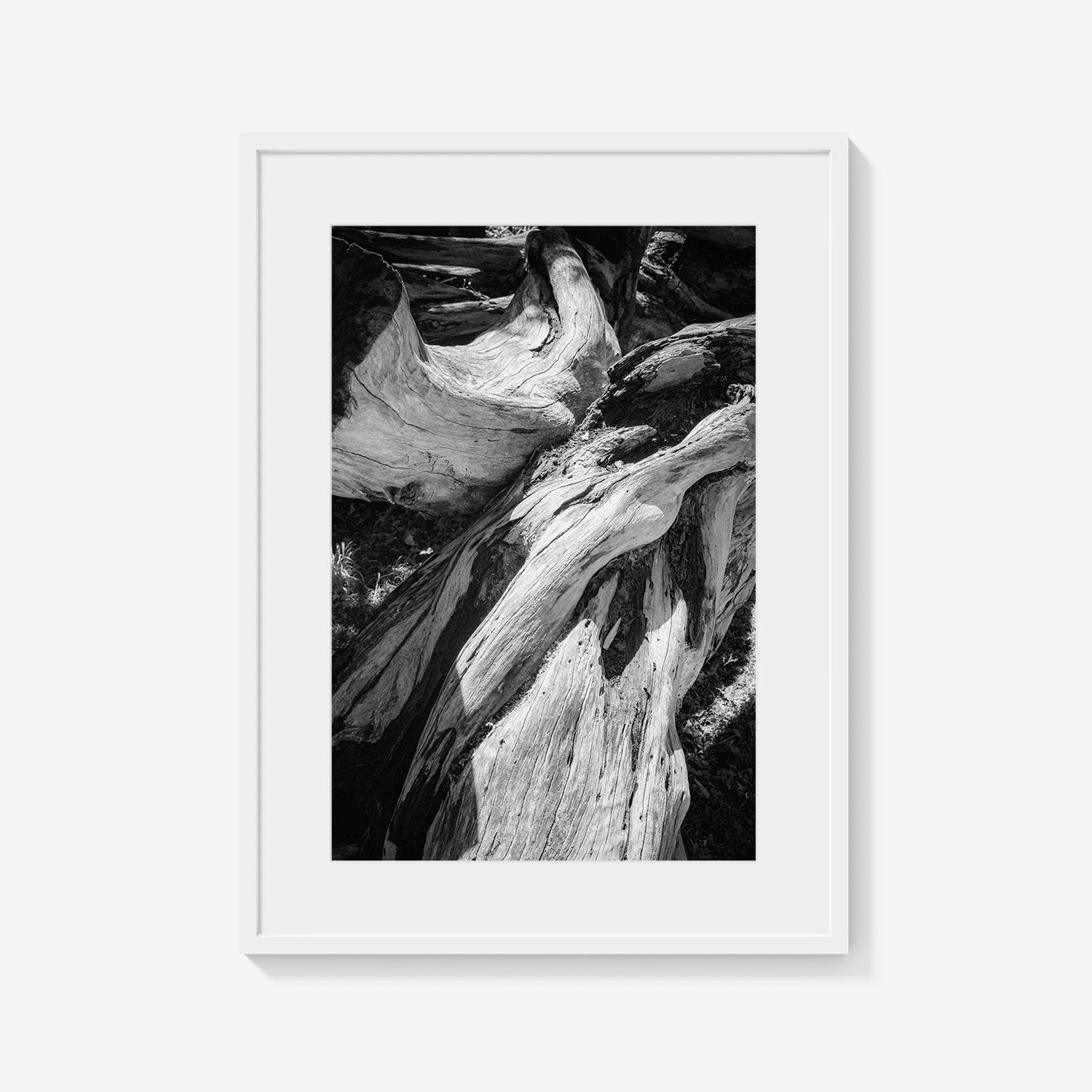 WOOD FORMS