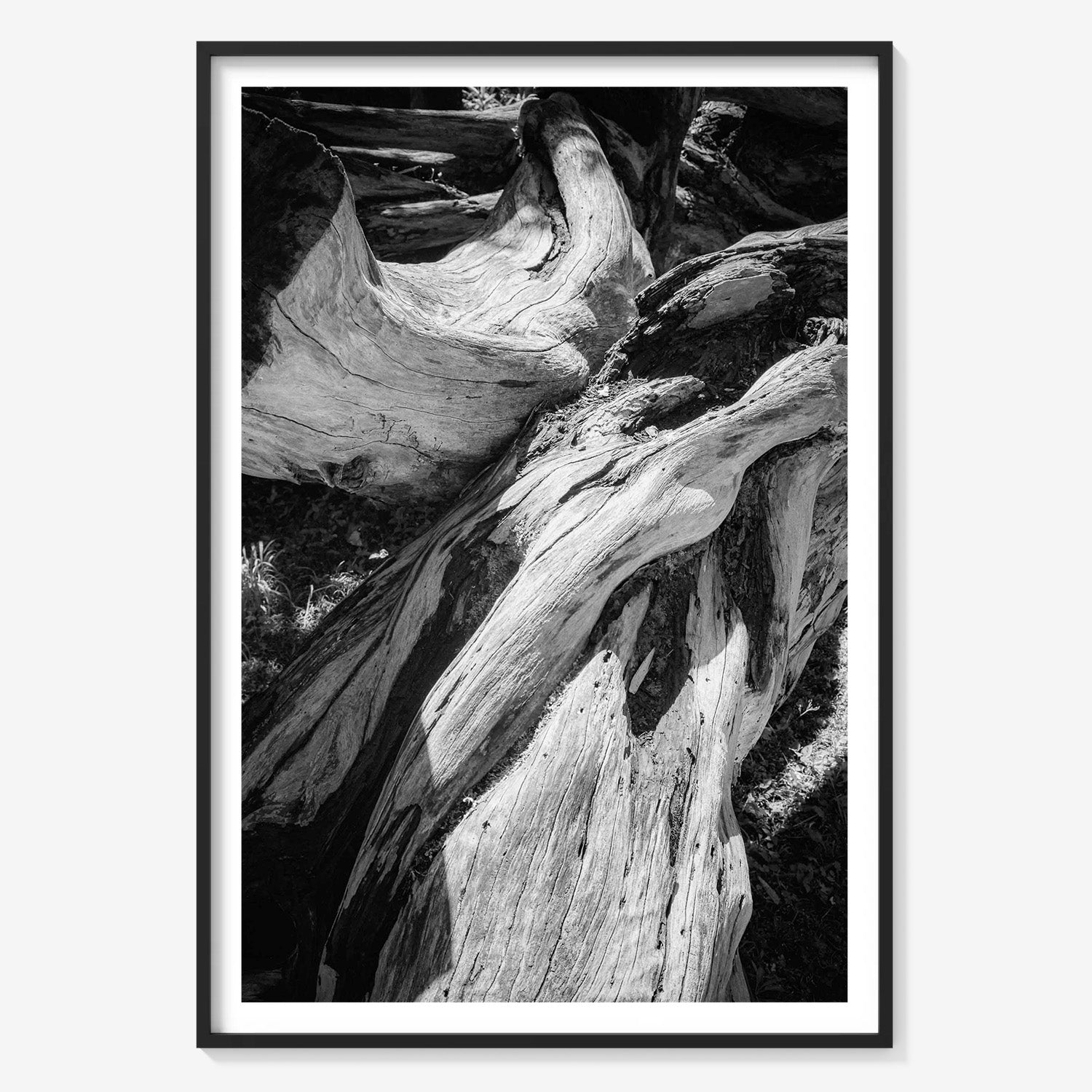 WOOD FORMS