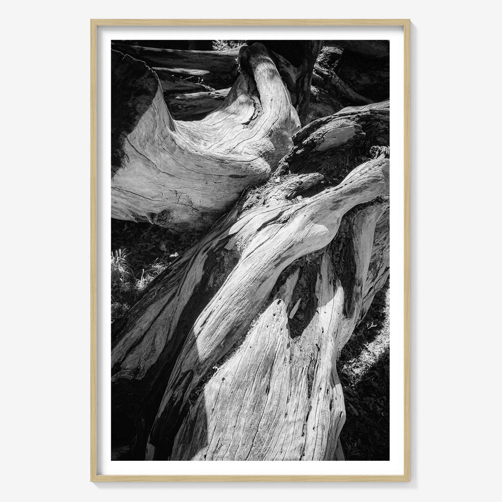 WOOD FORMS