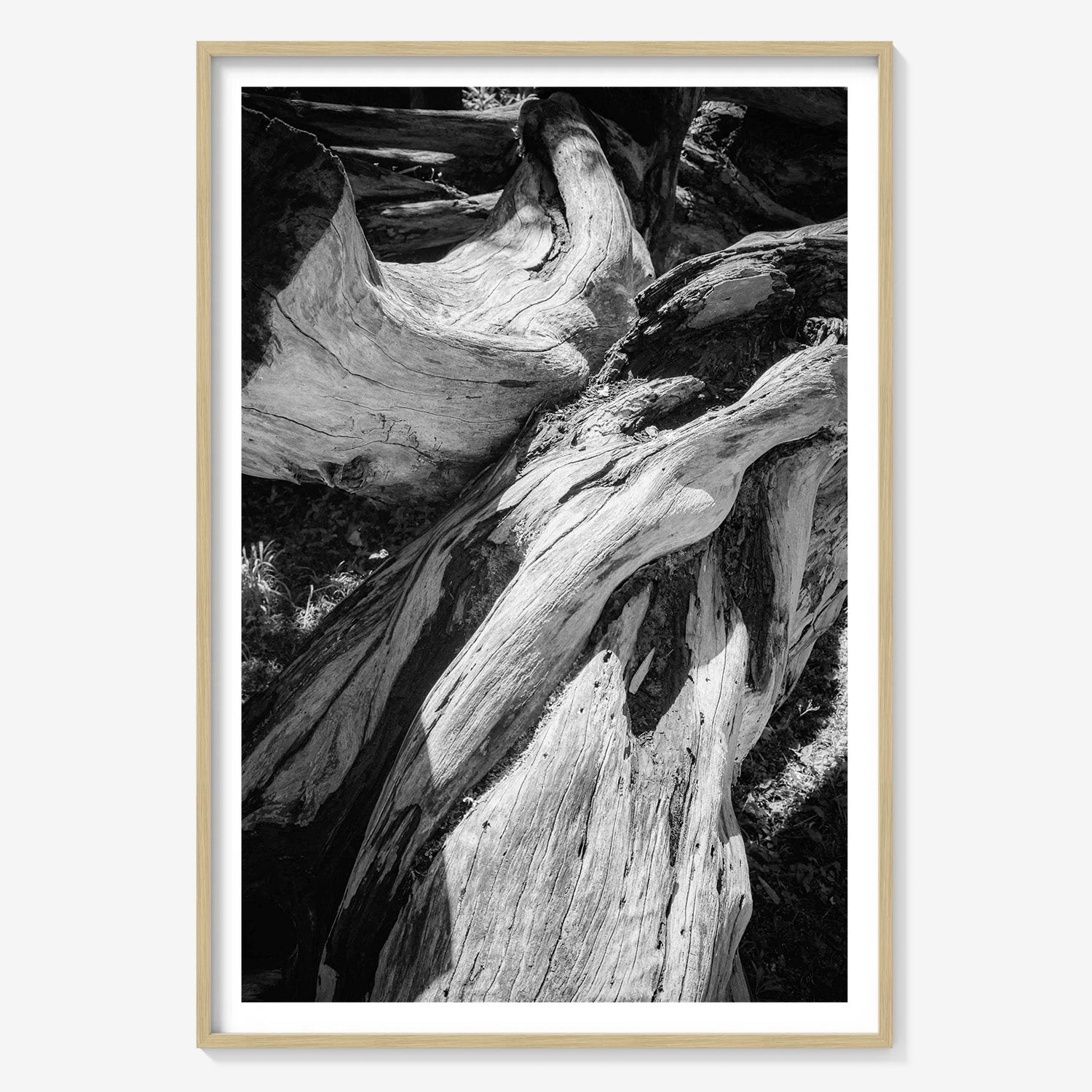 WOOD FORMS