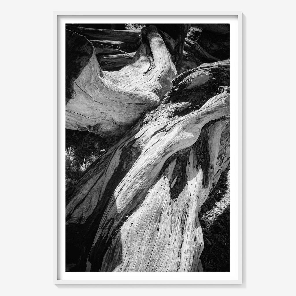 WOOD FORMS