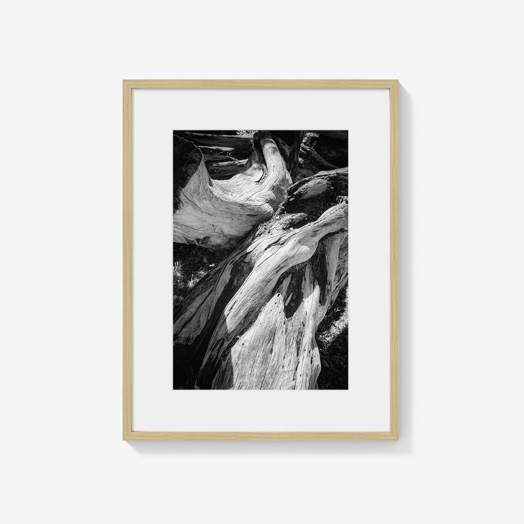 WOOD FORMS