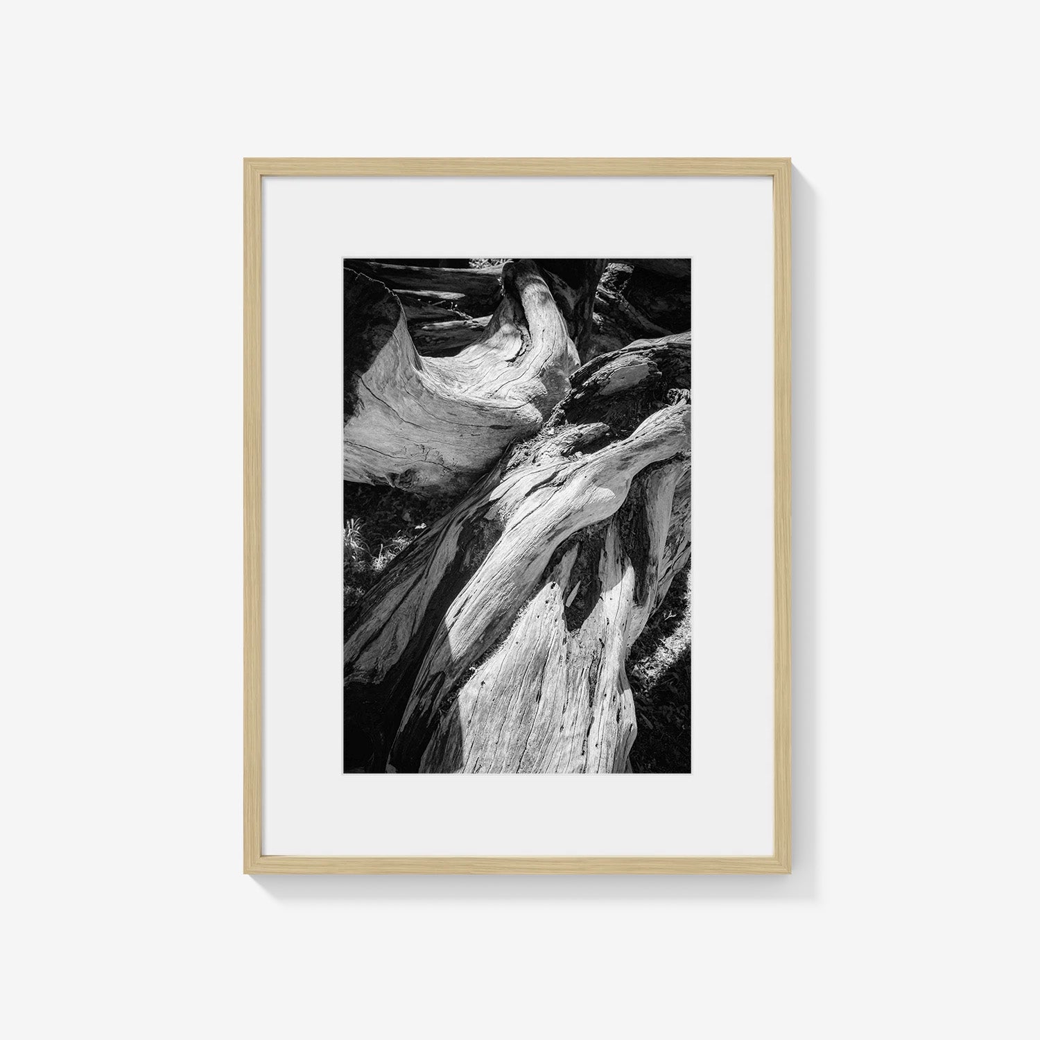 WOOD FORMS