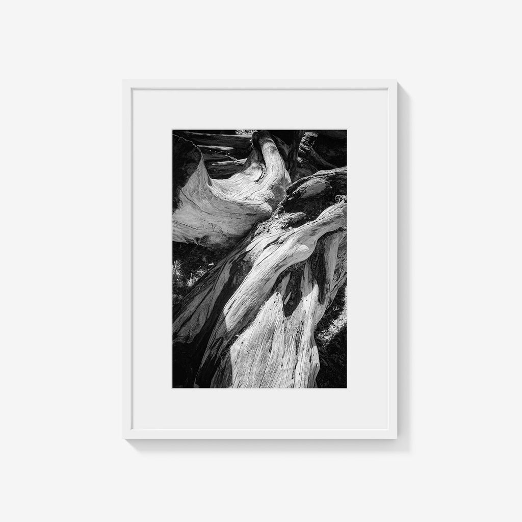 WOOD FORMS