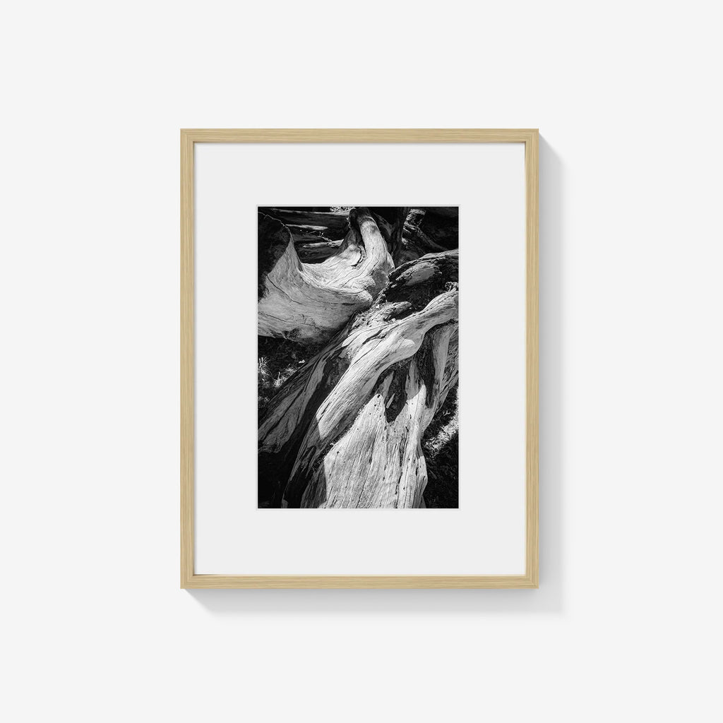 WOOD FORMS
