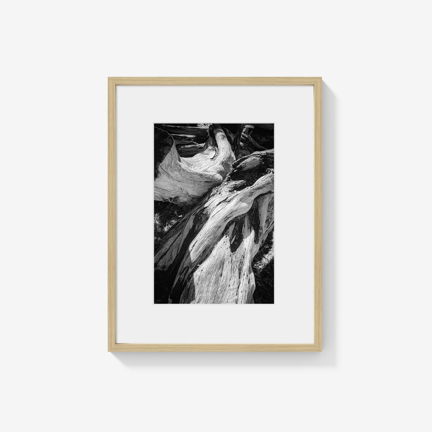 WOOD FORMS
