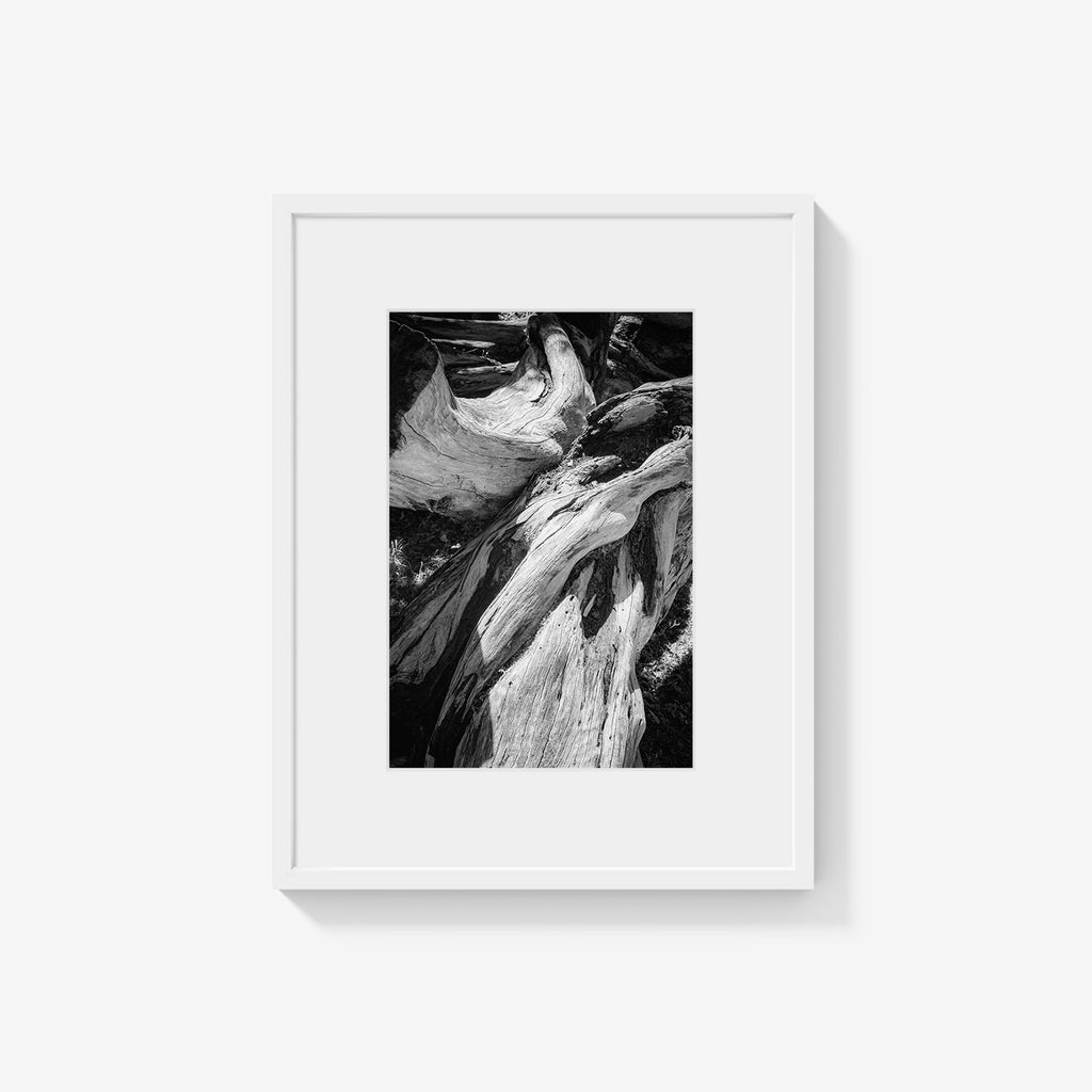 WOOD FORMS